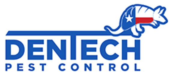 Pest Control San Antonio